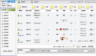 天照科技 上海網站建設與軟件設計的一站式解決方案